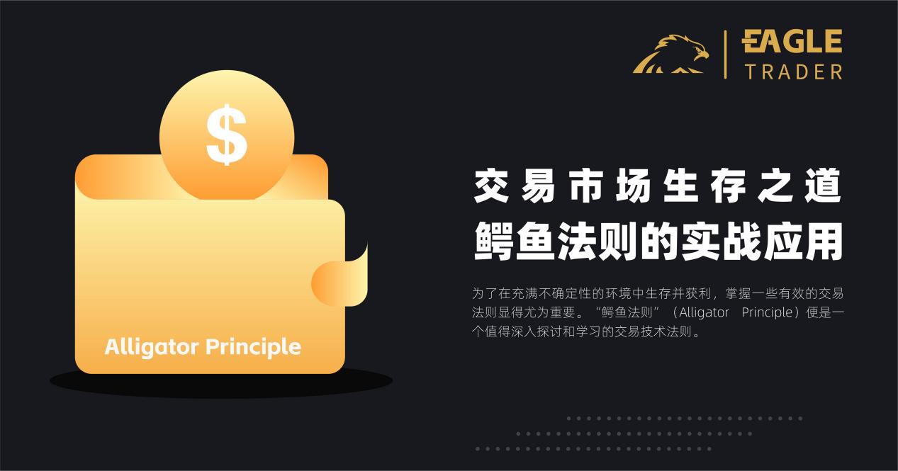 交易市场生存之道:鳄鱼法则的实战应用